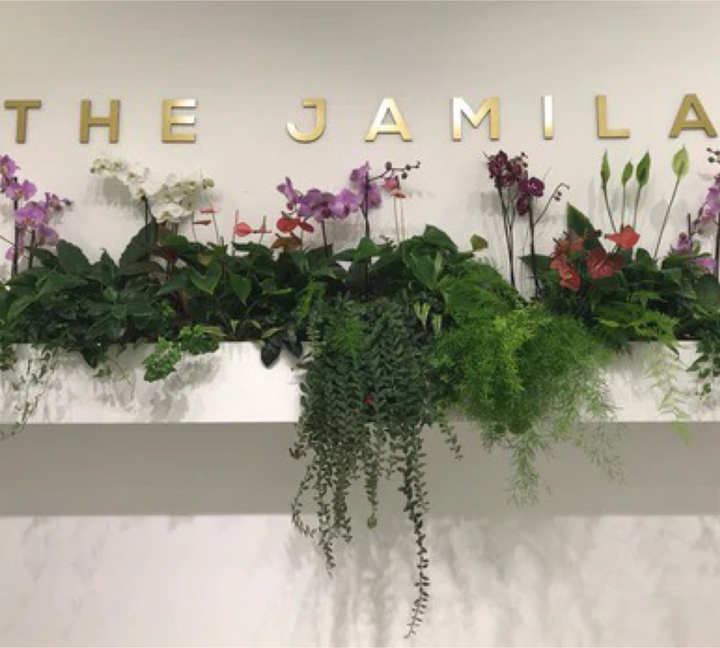 The Jamila - GCC’s Health and Beauty Expert in Natural & Organic Self Care